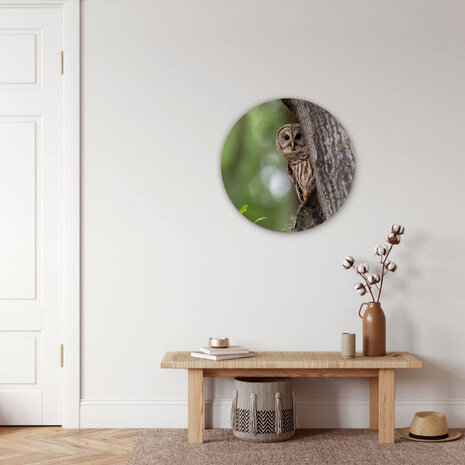 Schilderij Uil verborgen in de bomen | Rond 60 cm glasschilderij Schilderij Uil verborgen in de bomen | Rond 60 cm glasschilderij