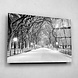 Winterse laan in Central Park New York | 150 x 100 cm Winterse laan in Central Park New York | 150 x 100 cm