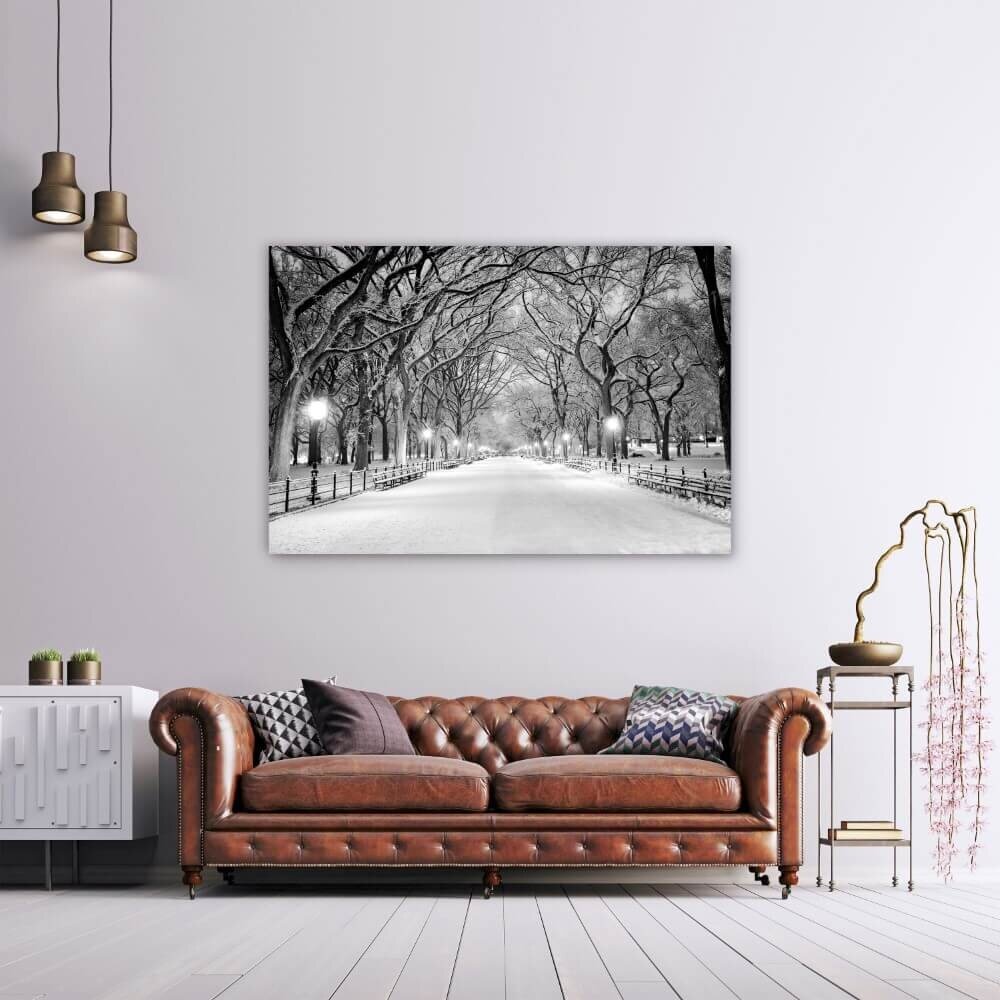 Schilderij Winterse laan in Central Park New York | 150 x 100 cm glasschilderij Schilderij Winterse laan in Central Park New York | 150 x 100 cm glasschilderij