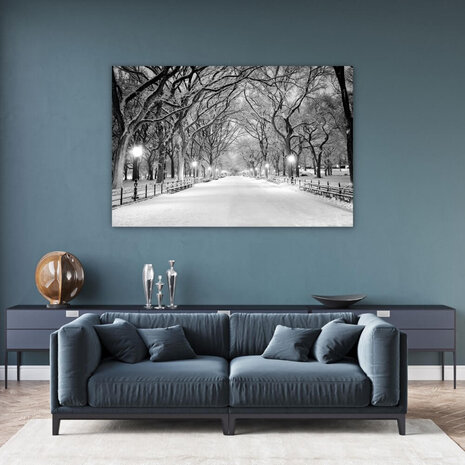 Schilderij Winterse laan in Central Park New York | 150 x 100 cm glasschilderij Schilderij Winterse laan in Central Park New York | 150 x 100 cm glasschilderij