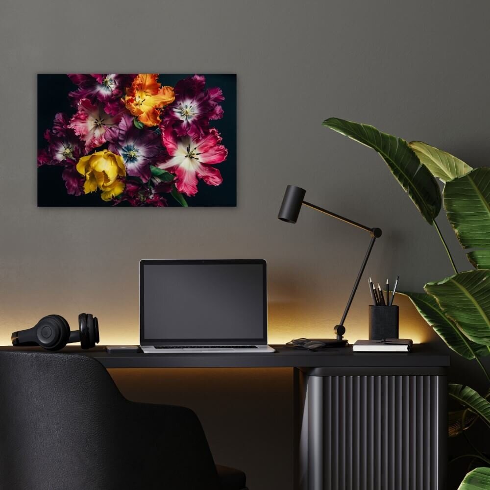 Schilderij Frivole tulpen in paars roze en geel | 60 x 40 cm glasschilderij Schilderij Frivole tulpen in paars roze en geel | 60 x 40 cm glasschilderij