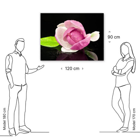 Schilderij Magnolia weerspiegelend in het water | 120 x 90 cm glasschilderij Schilderij Magnolia weerspiegelend in het water | 120 x 90 cm glasschilderij