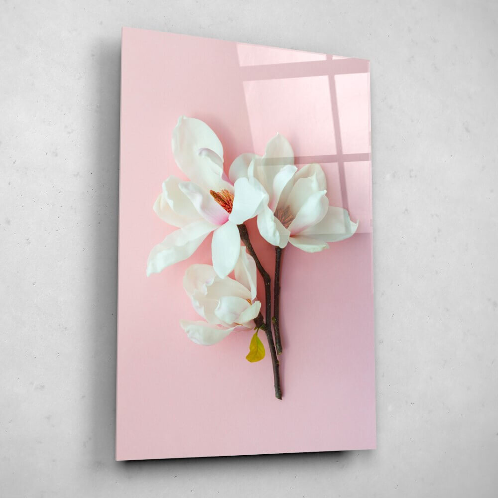 Schilderij Lieflijk trio van witte magnolia | 60 x 90 cm glasschilderij Schilderij Lieflijk trio van witte magnolia | 60 x 90 cm glasschilderij