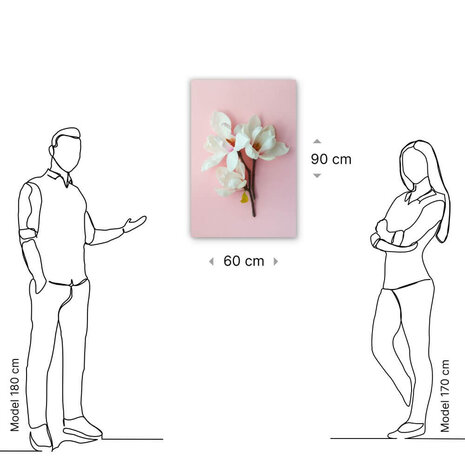 Schilderij Lieflijk trio van witte magnolia | 60 x 90 cm glasschilderij Schilderij Lieflijk trio van witte magnolia | 60 x 90 cm glasschilderij