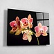 Frivole orchidee tak met roze bloemen | 80 x 60 cm Frivole orchidee tak met roze bloemen | 80 x 60 cm