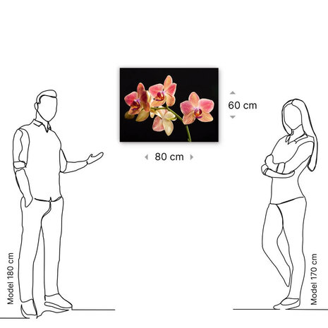 Schilderij Frivole orchidee tak met roze bloemen | 80 x 60 cm glasschilderij Schilderij Frivole orchidee tak met roze bloemen | 80 x 60 cm glasschilderij