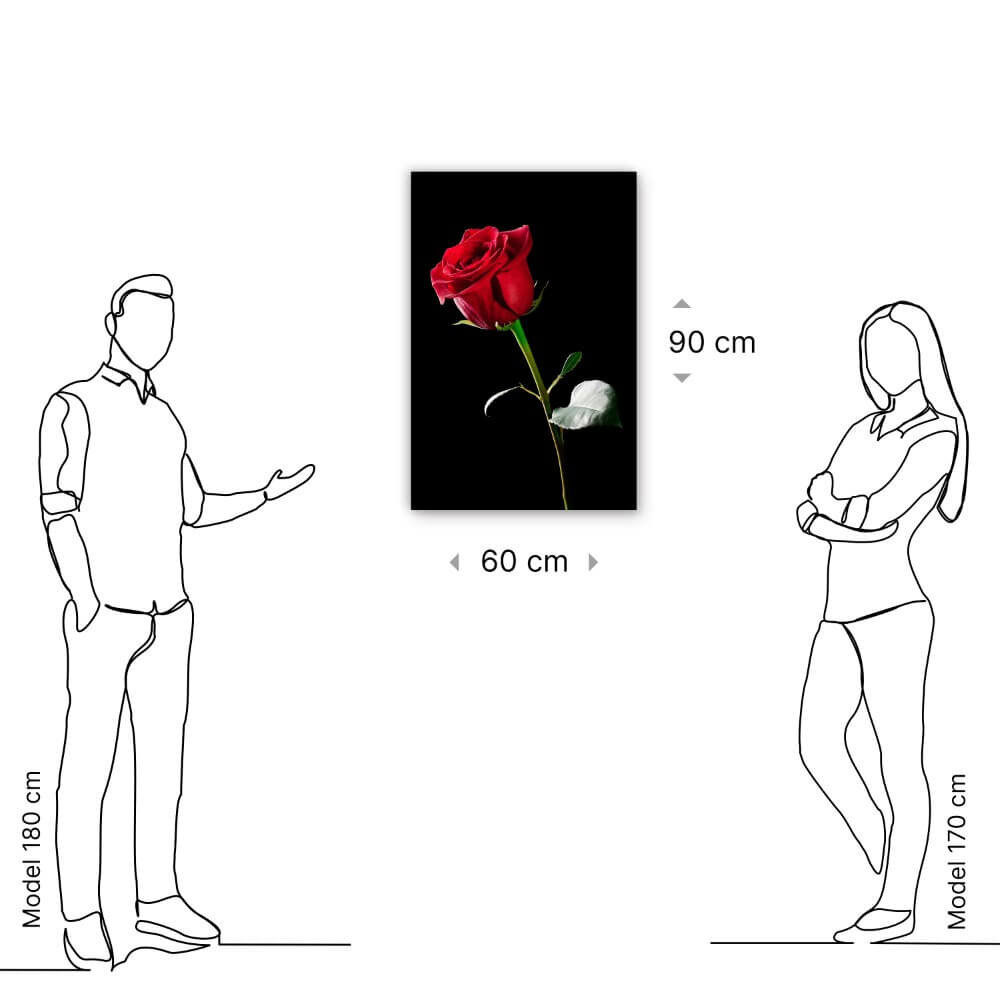 Schilderij Portret van enkele rode roos | 60 x 90 cm glasschilderij Schilderij Portret van enkele rode roos | 60 x 90 cm glasschilderij