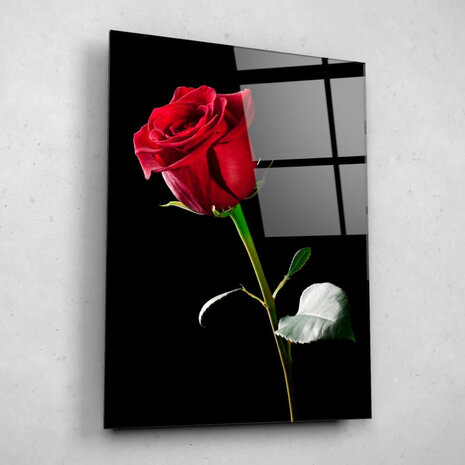 Schilderij Portret van enkele rode roos | 60 x 80 cm glasschilderij Schilderij Portret van enkele rode roos | 60 x 80 cm glasschilderij
