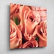 Verzameling zalmroze rozen | 80 x 80 cm Verzameling zalmroze rozen | 80 x 80 cm