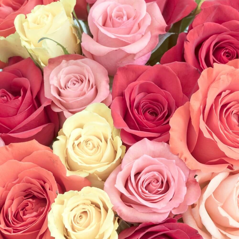 Romantisch boeket van rozen