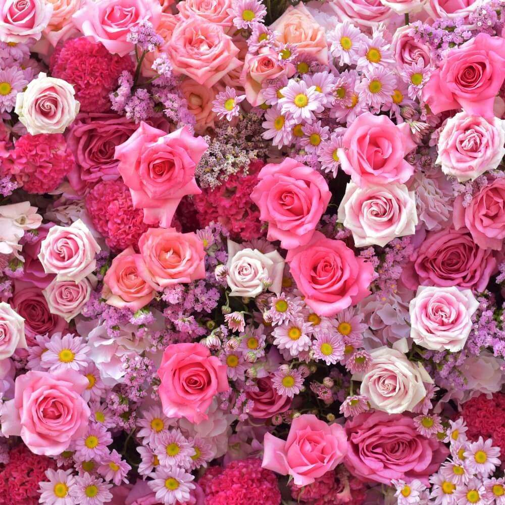 Zomers tapijt van verschillende kleuren rozen