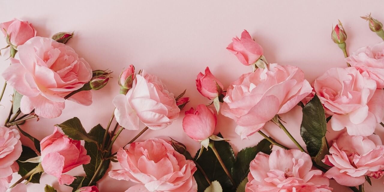 Collage van rozen met roze achtergrond