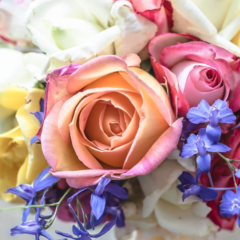 Kleurrijk boeket van rozen en wilde bloemen