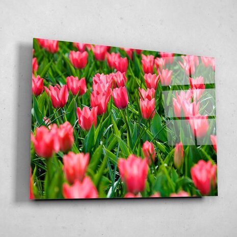Schilderij Vrolijke roze tulpen | 80 x 60 cm glasschilderij Schilderij Vrolijke roze tulpen | 80 x 60 cm glasschilderij