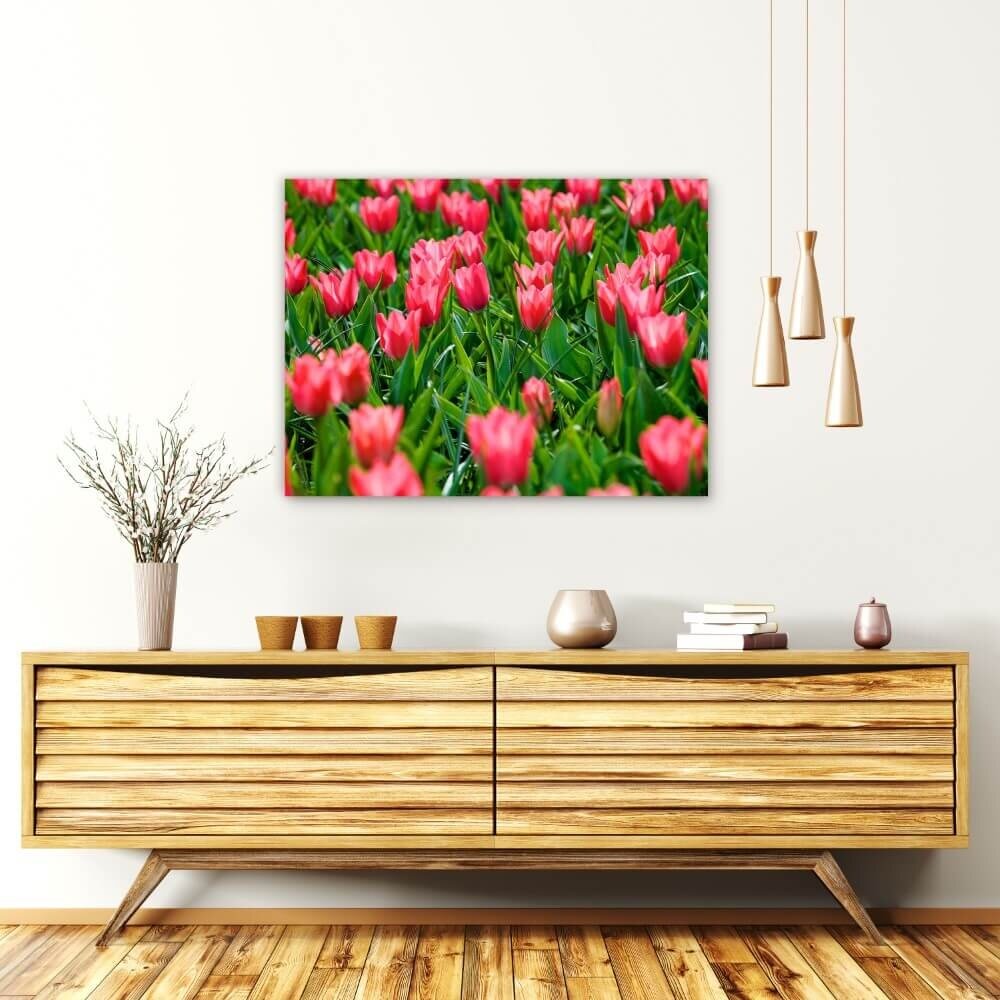 Schilderij Vrolijke roze tulpen | 80 x 60 cm glasschilderij Schilderij Vrolijke roze tulpen | 80 x 60 cm glasschilderij