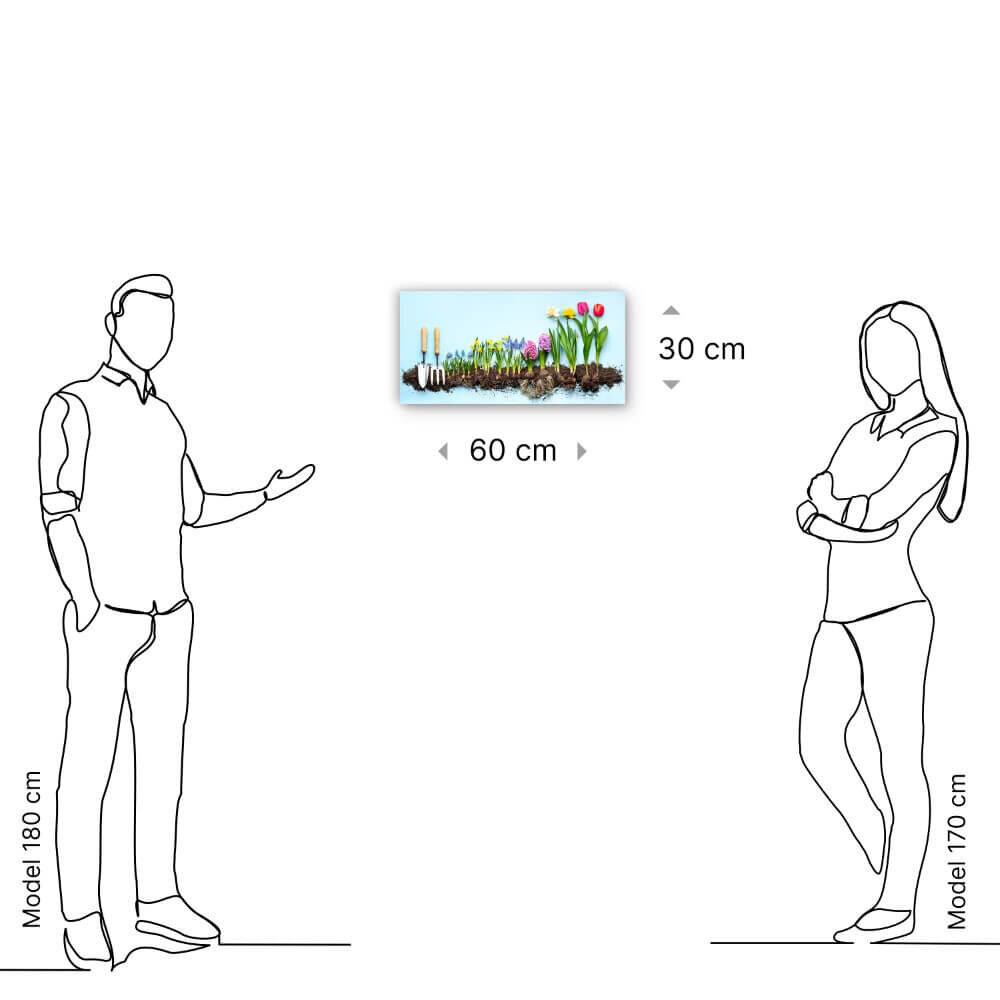 Schilderij Panorama lentebloeiers op een bedje van zand | 60 x 30 cm glasschilderij Schilderij Panorama lentebloeiers op een bedje van zand | 60 x 30 cm glasschilderij