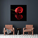 Weerspiegeling van rode roos | 90 x 90 cm Weerspiegeling van rode roos | 90 x 90 cm