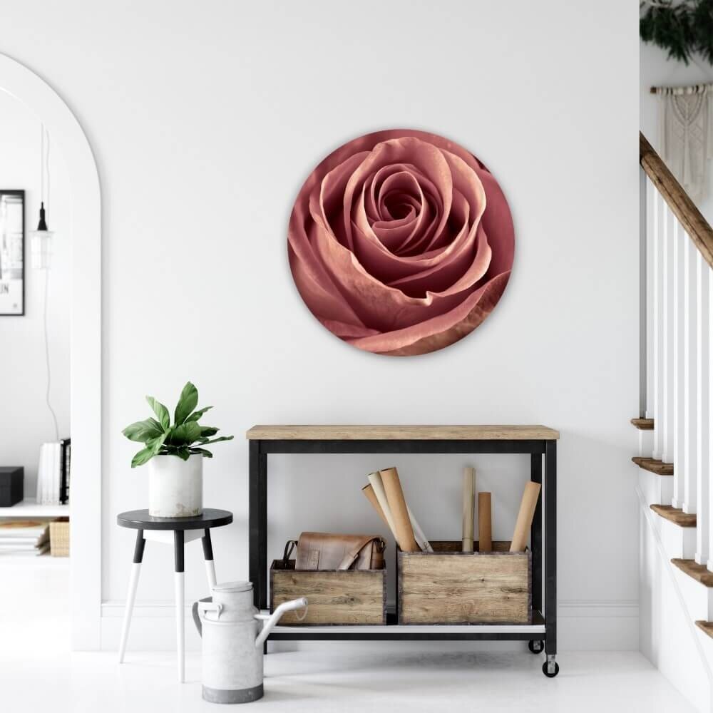 Schilderij Close-up van oudroze roos | Rond 70 cm glasschilderij Schilderij Close-up van oudroze roos | Rond 70 cm glasschilderij