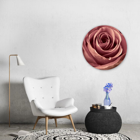 Schilderij Close-up van oudroze roos | Rond 70 cm glasschilderij Schilderij Close-up van oudroze roos | Rond 70 cm glasschilderij