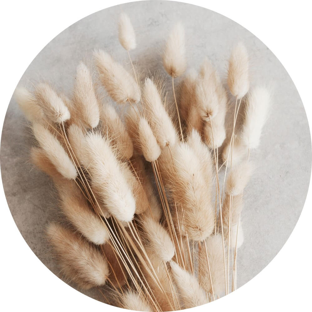 Muurcirkel Liggend boeket pluizige rietstengels Muurcirkel Liggend boeket pluizige rietstengels