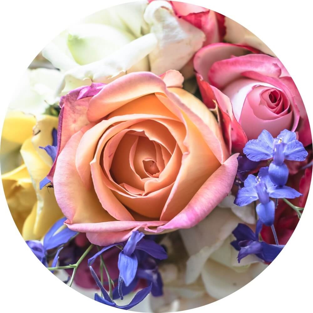 Muurcirkel Kleurrijk boeket van rozen en wilde bloemen Muurcirkel Kleurrijk boeket van rozen en wilde bloemen