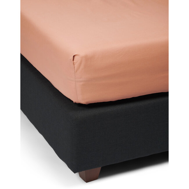 Minte Bright, terra