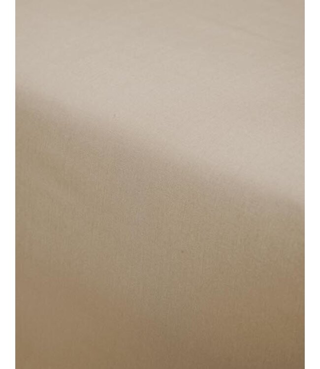 Essenza Premium Percale Hoeslaken Cement