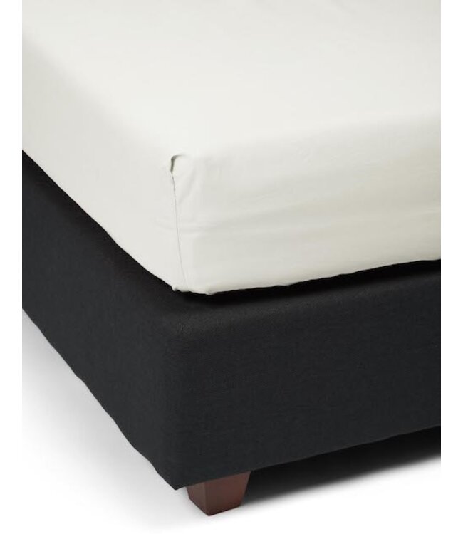 Essenza Premium Percale Hoeslaken Oyster