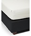 Essenza Premium Percale Hoeslaken Oyster