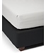 Essenza Premium Percale Hoeslaken Silver