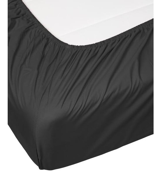 Essenza Premium Percale Hoeslaken Anthracite