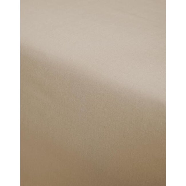 Essenza Premium Percale Hoeslaken Cement