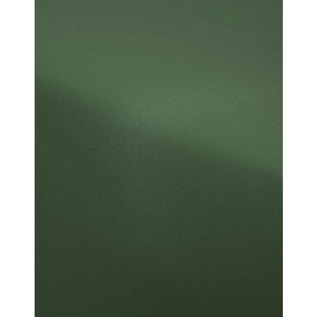 Essenza Premium Percale Hoeslaken Moss