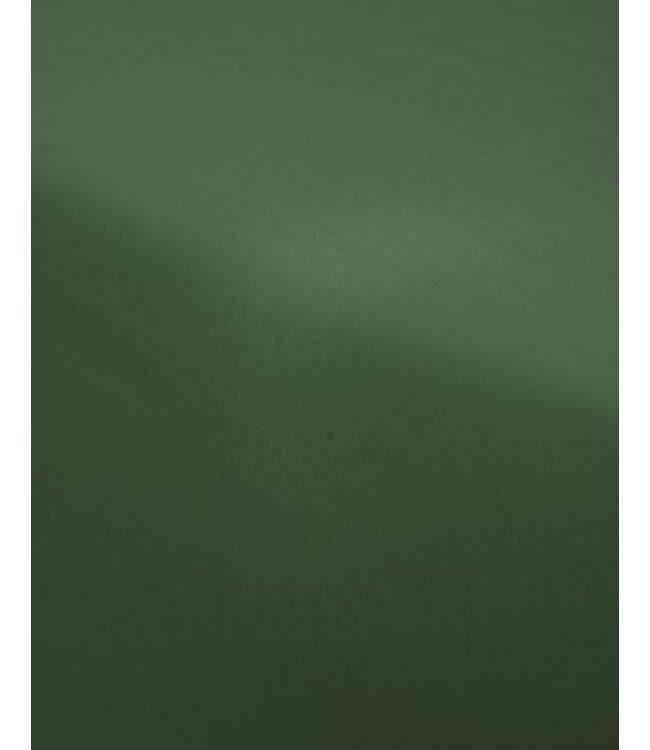 Essenza Premium Percale Hoeslaken Moss