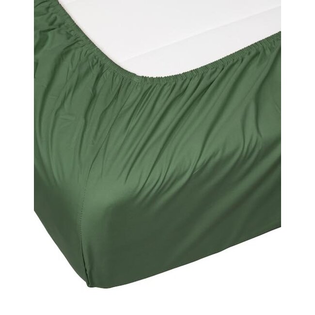 Essenza Premium Percale Hoeslaken Moss