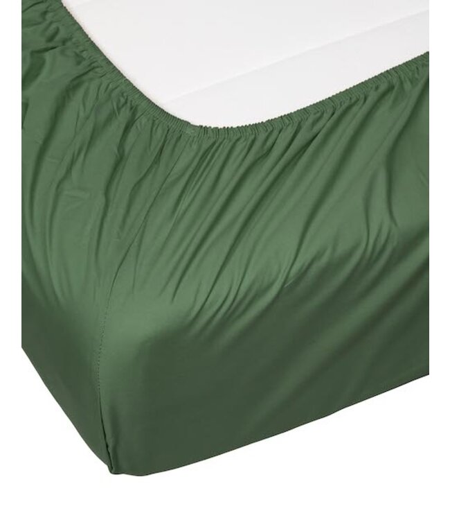 Essenza Premium Percale Hoeslaken Moss