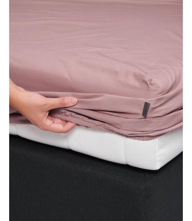 Essenza Premium Percale Hoeslaken Woodrose