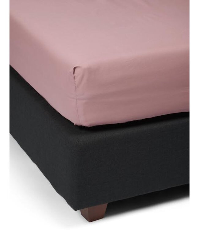 Essenza Premium Percale Hoeslaken Woodrose