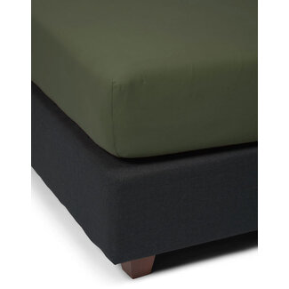 Essenza The Perfect Organic Jersey Hoeslaken Forest green