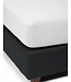 Essenza The Perfect Organic Jersey Hoeslaken White