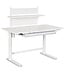 Lifetime ergo-r electr. verstelbaar bureau/ r. flip deel