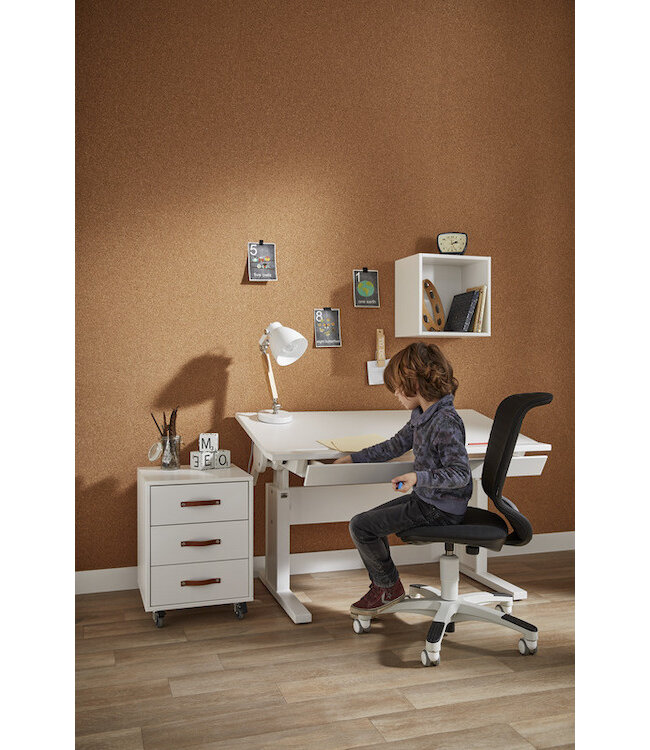 Lifetime lade voor bureau 30255 + 30245