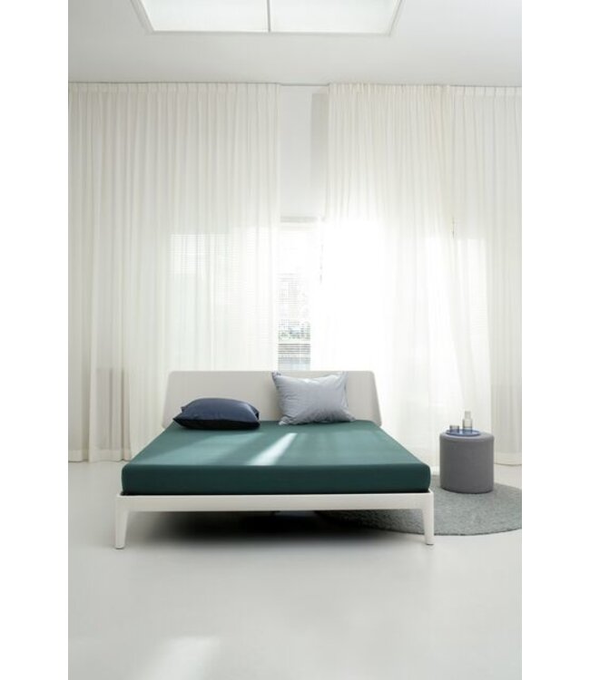 Auping Organic Jersey Hoeslaken Soft pine green