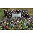 Snurk dekbedovertrek Bouquet black