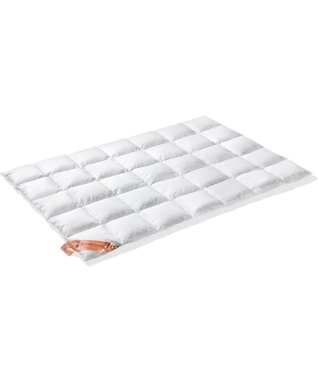 VanDyck Excellent Dekbed 650