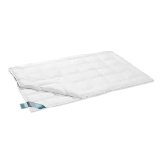 VanDyck Thermo Dekbed Duo