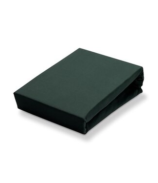 Vandyck Vandyck Jersey Supreme hoeslaken dark green