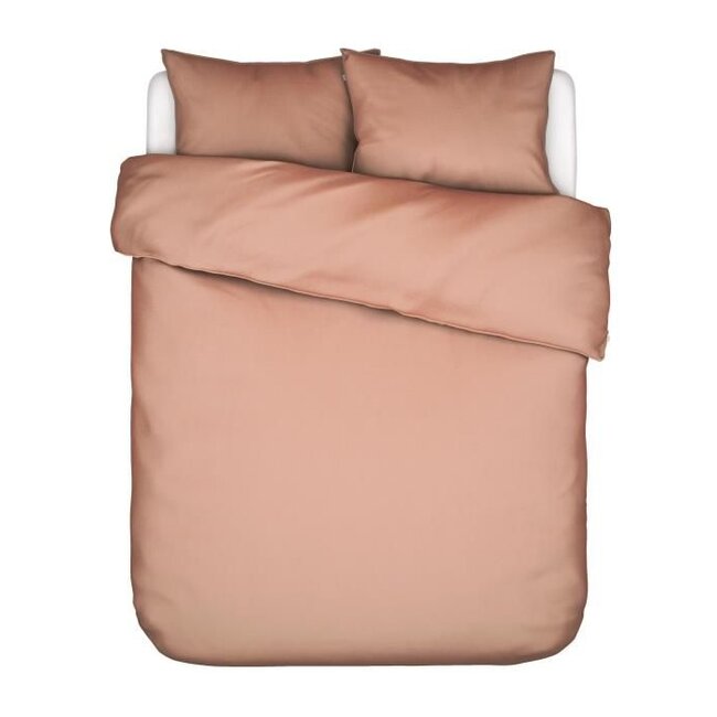 Minte Bright, terra