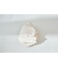 Auping Organic Jersey Hoeslaken Topper off white