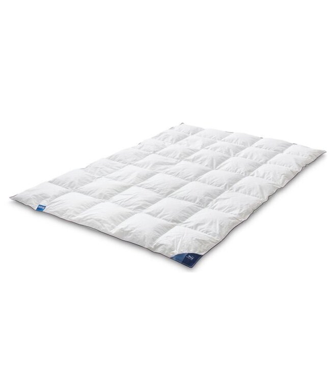 Auping Nest Dekbed Spring/Fall